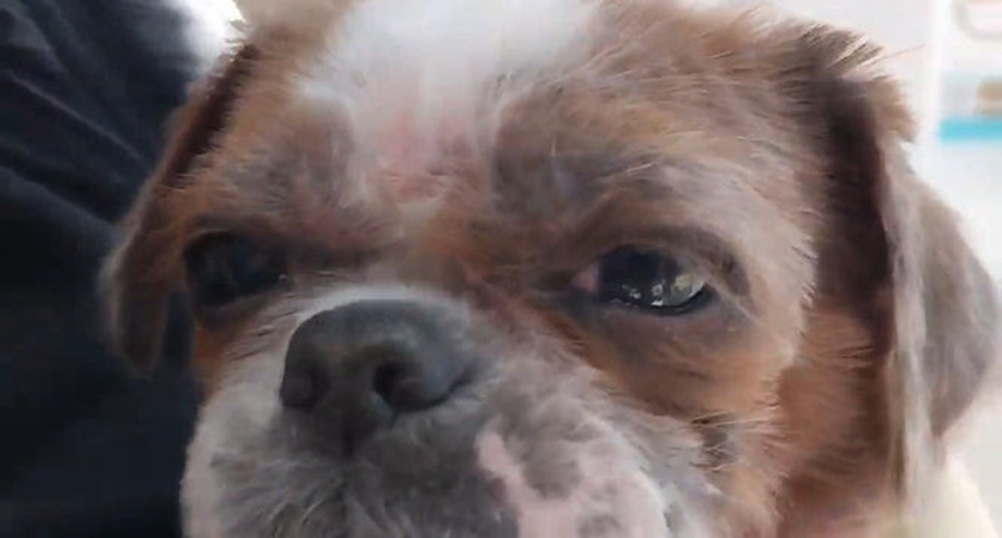 b0a8ea55e898daf2205b2e056c66d05e_1753848460_0906.jpg b0a8ea55e898daf2205b2e056c66d05e_1753848460_0906.jpg