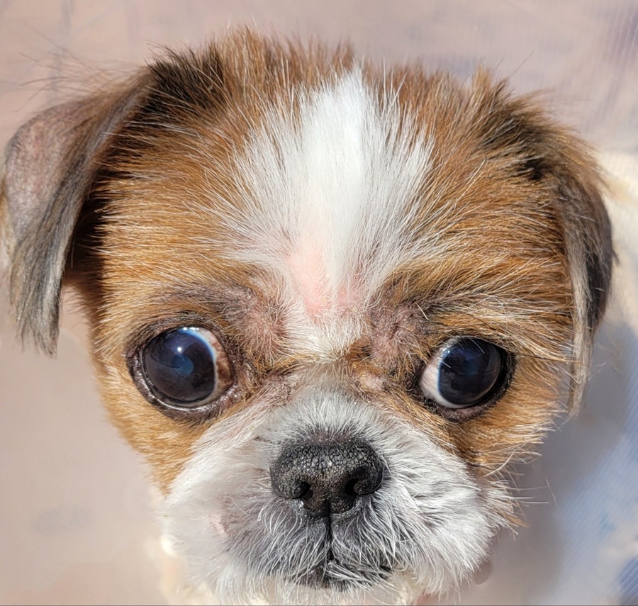 b0a8ea55e898daf2205b2e056c66d05e_1753848513_1946.jpg b0a8ea55e898daf2205b2e056c66d05e_1753848513_1946.jpg