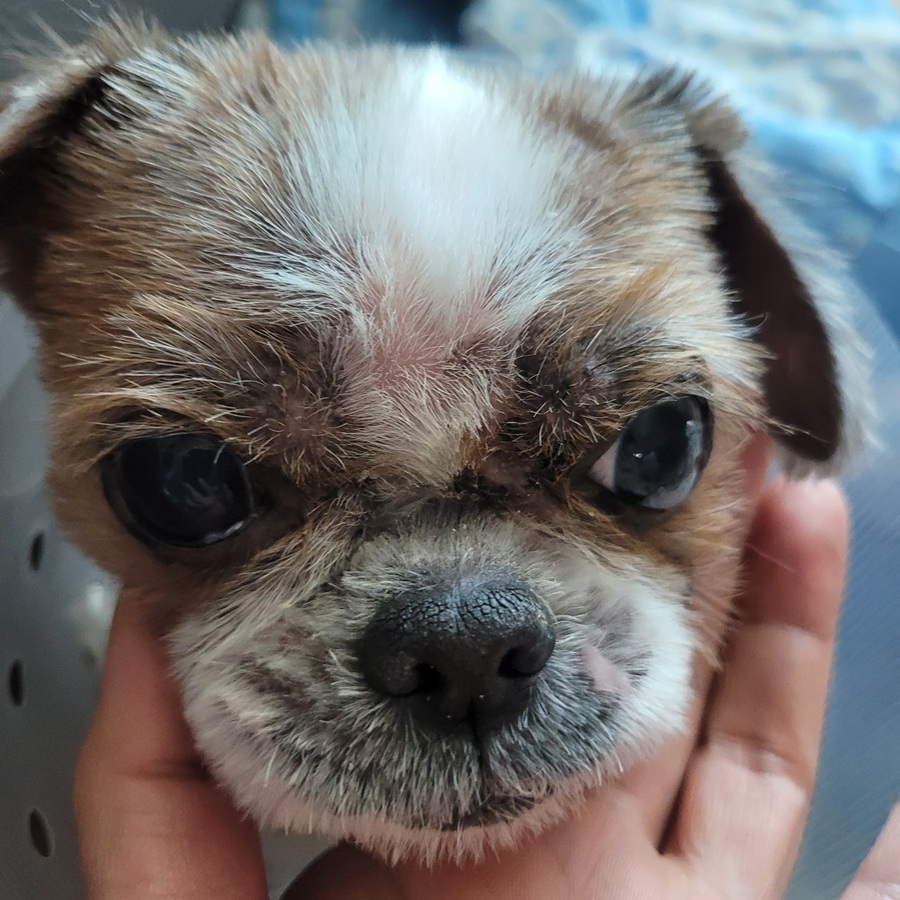 b0a8ea55e898daf2205b2e056c66d05e_1753848542_9055.jpg b0a8ea55e898daf2205b2e056c66d05e_1753848542_9055.jpg