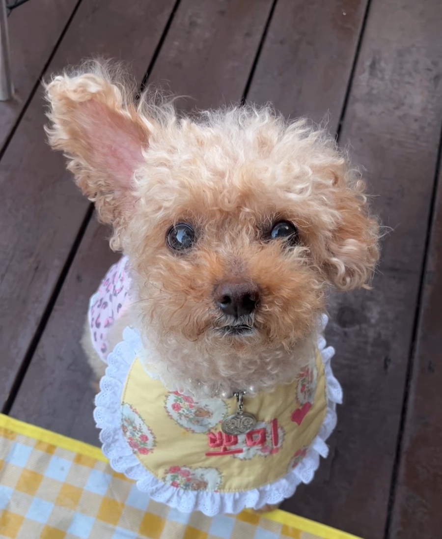 5b62e32d6a94e52c2c86df288a324cbb_1756305937_1892.jpg 5b62e32d6a94e52c2c86df288a324cbb_1756305937_1892.jpg