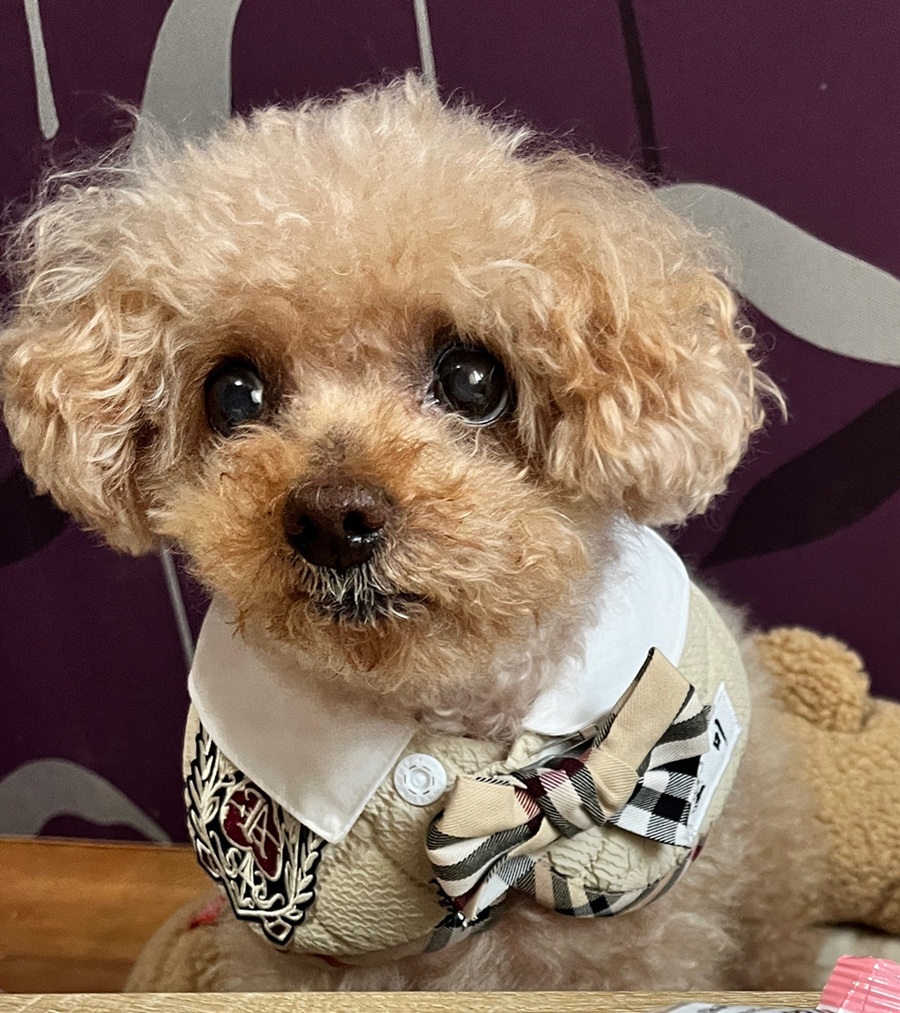 5b62e32d6a94e52c2c86df288a324cbb_1756306053_8642.jpg 5b62e32d6a94e52c2c86df288a324cbb_1756306053_8642.jpg