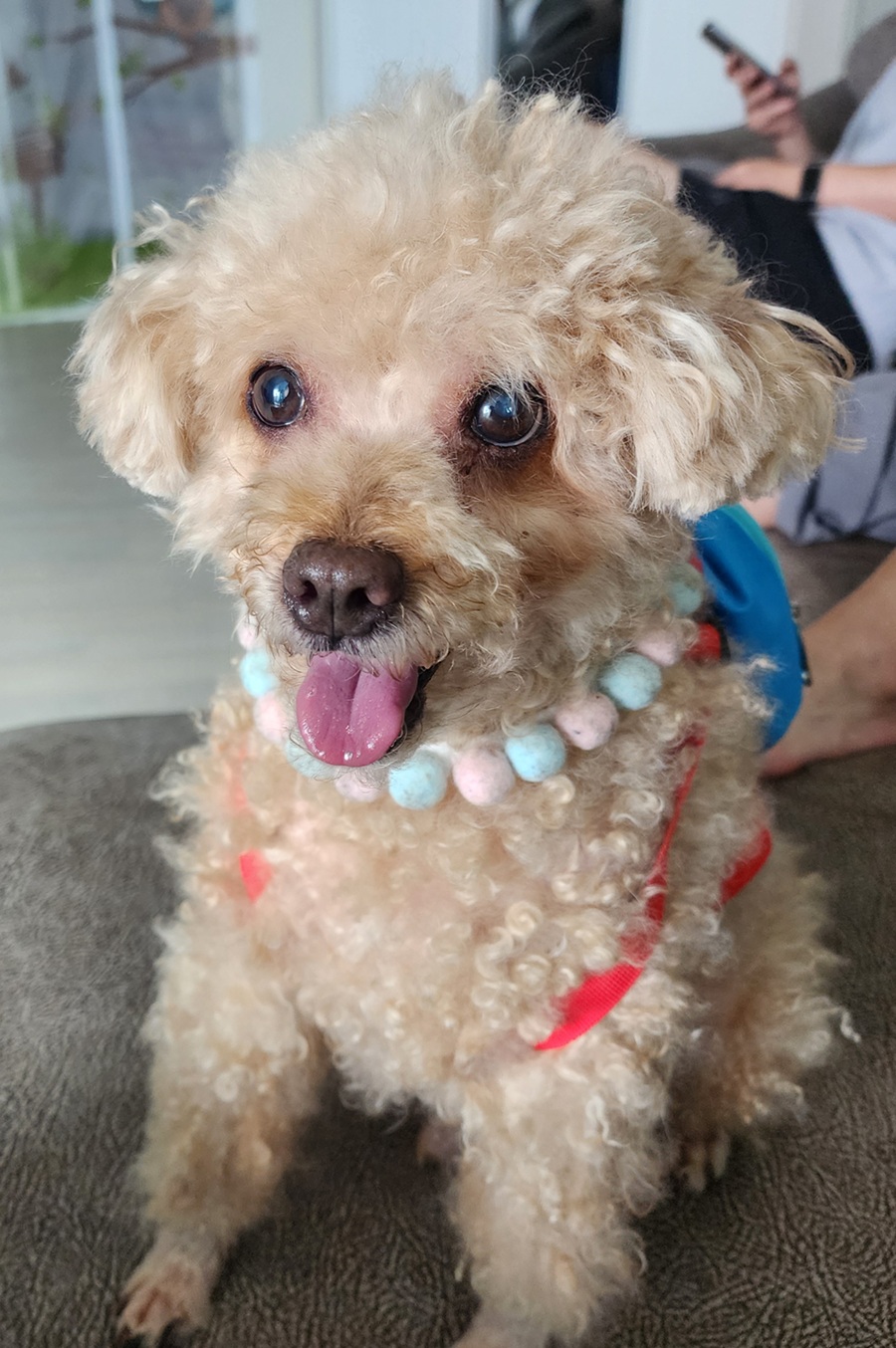 5f1fef1c3f86a5c52c90f29c8b86ffca_1755995438_6064.jpg 5f1fef1c3f86a5c52c90f29c8b86ffca_1755995438_6064.jpg