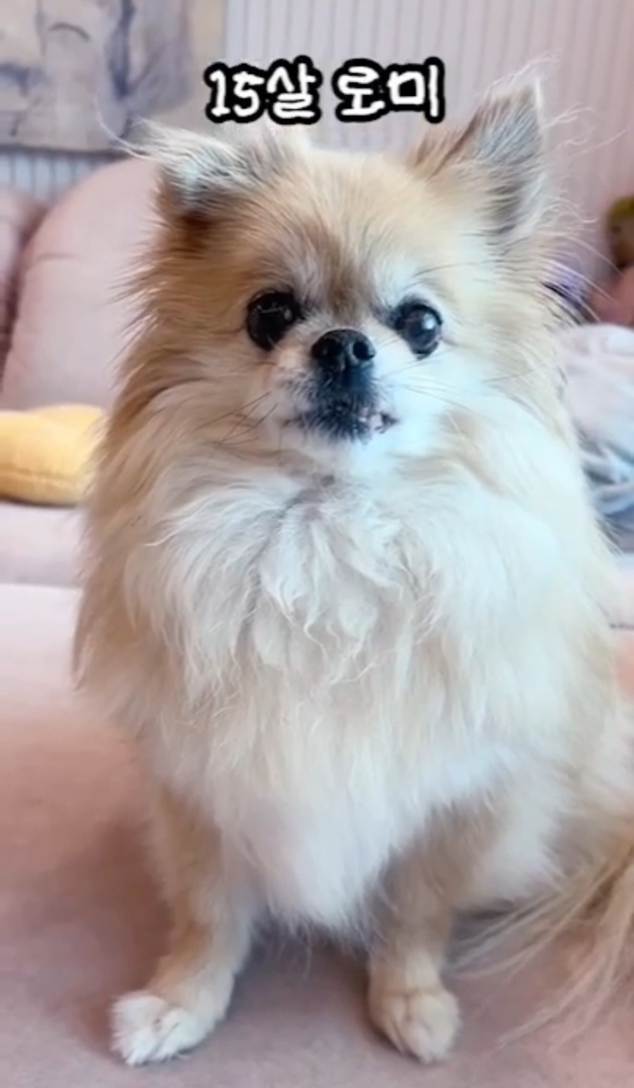 5f1fef1c3f86a5c52c90f29c8b86ffca_1756038049_4028.jpg 5f1fef1c3f86a5c52c90f29c8b86ffca_1756038049_4028.jpg