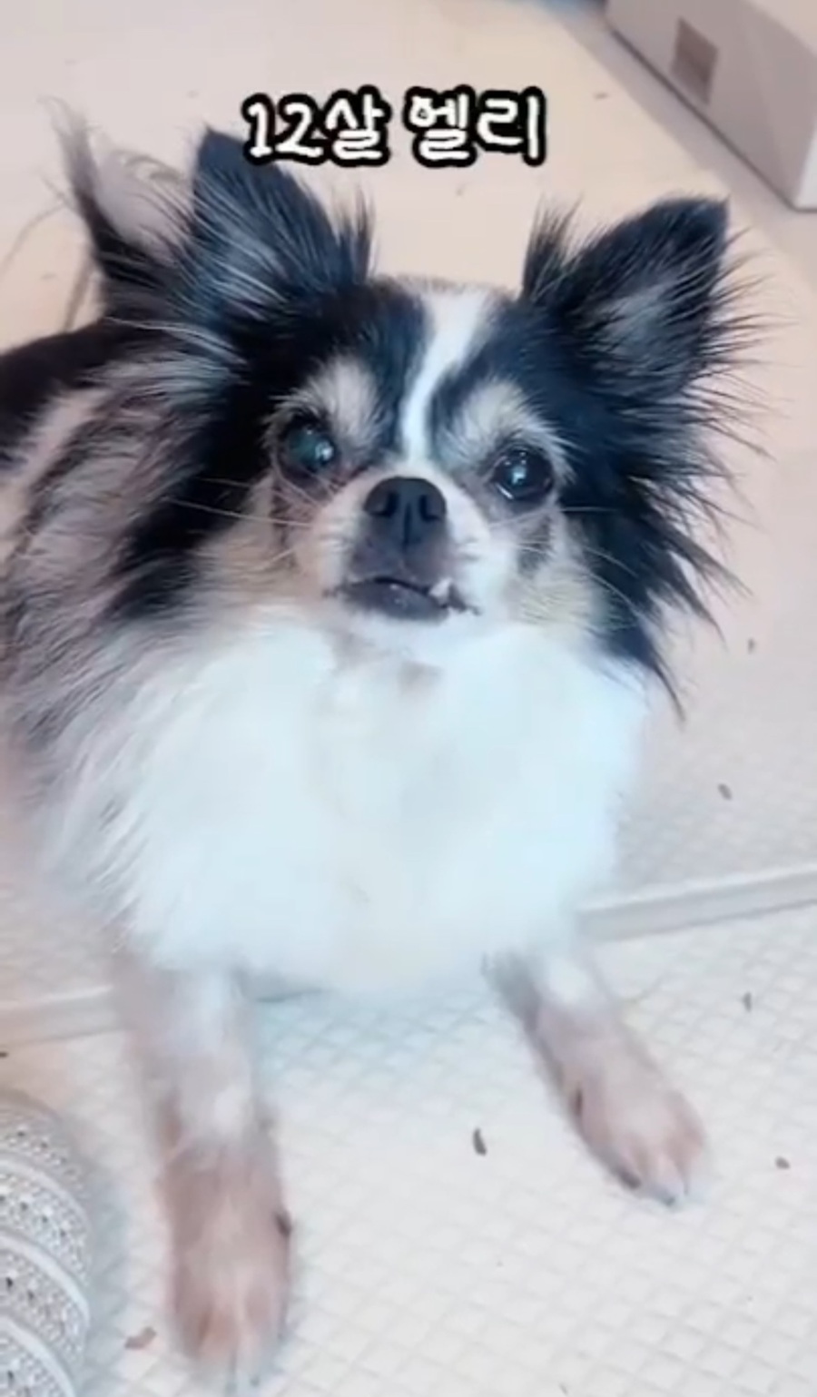 5f1fef1c3f86a5c52c90f29c8b86ffca_1756038122_5505.jpg 5f1fef1c3f86a5c52c90f29c8b86ffca_1756038122_5505.jpg