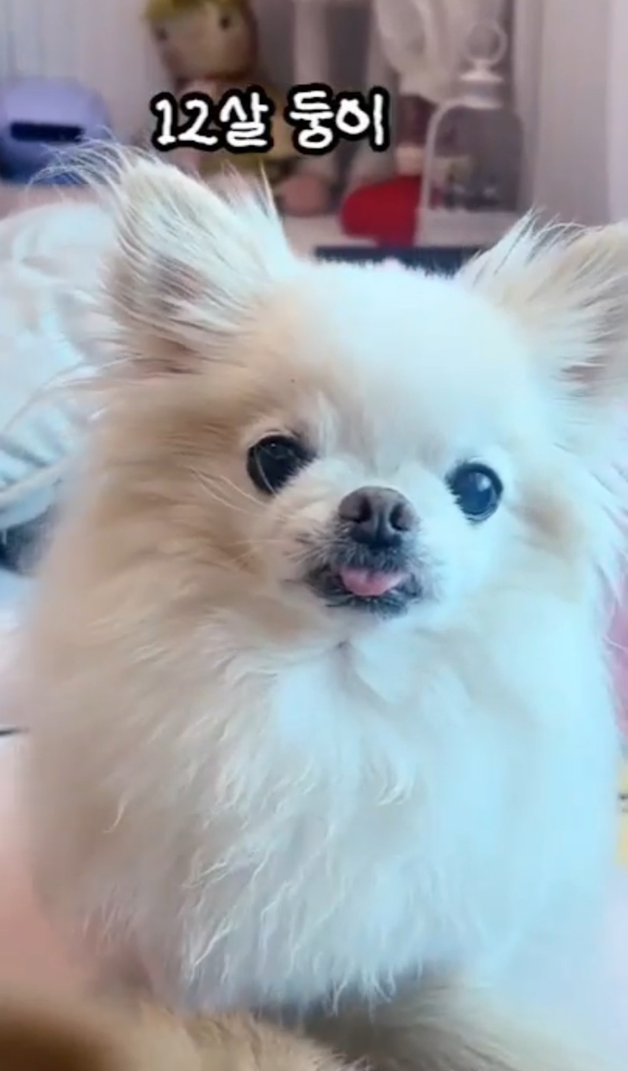 5f1fef1c3f86a5c52c90f29c8b86ffca_1756038192_303.jpg 5f1fef1c3f86a5c52c90f29c8b86ffca_1756038192_303.jpg