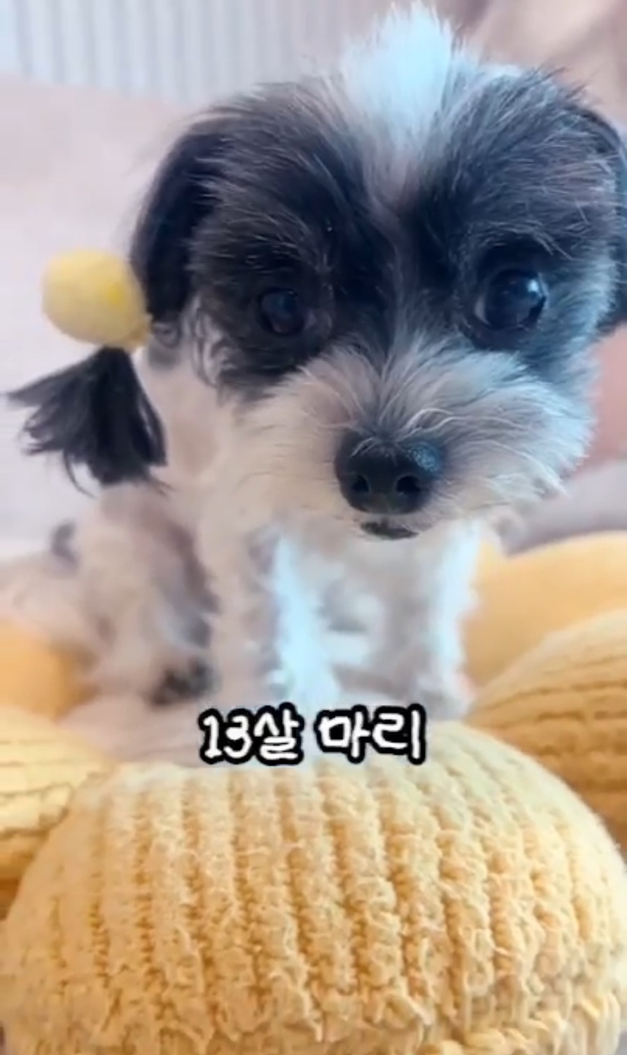 5f1fef1c3f86a5c52c90f29c8b86ffca_1756038276_1833.jpg 5f1fef1c3f86a5c52c90f29c8b86ffca_1756038276_1833.jpg