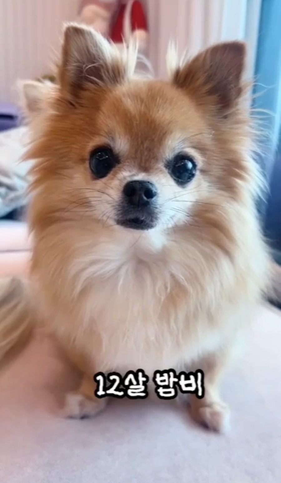 5f1fef1c3f86a5c52c90f29c8b86ffca_1756038471_3275.jpg 5f1fef1c3f86a5c52c90f29c8b86ffca_1756038471_3275.jpg