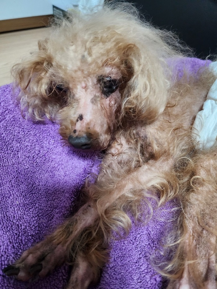 7d92c8ac13bbdf6421bca7ccdceb2ebd_1754691784_9183.jpg 7d92c8ac13bbdf6421bca7ccdceb2ebd_1754691784_9183.jpg