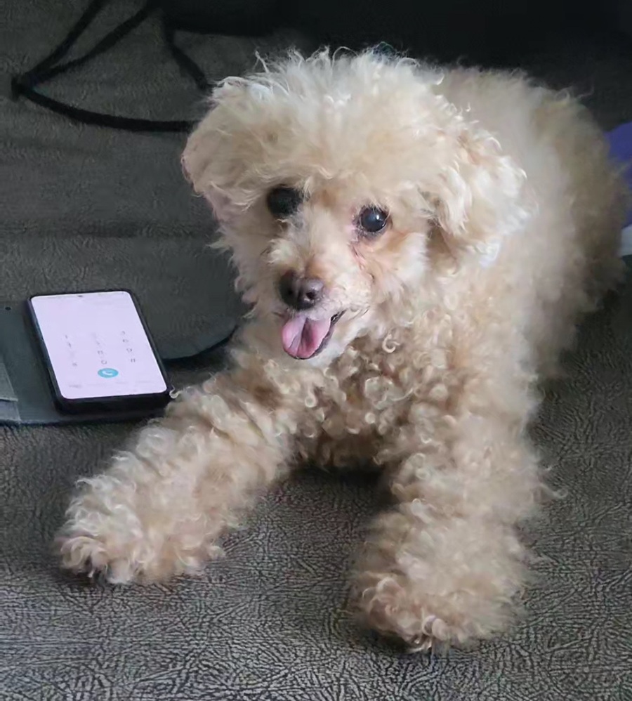 db783ad704b194731c18ed4a8db1bb44_1754127723_9774.jpg db783ad704b194731c18ed4a8db1bb44_1754127723_9774.jpg