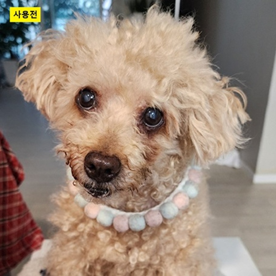 db783ad704b194731c18ed4a8db1bb44_1754133414_7362.jpg db783ad704b194731c18ed4a8db1bb44_1754133414_7362.jpg