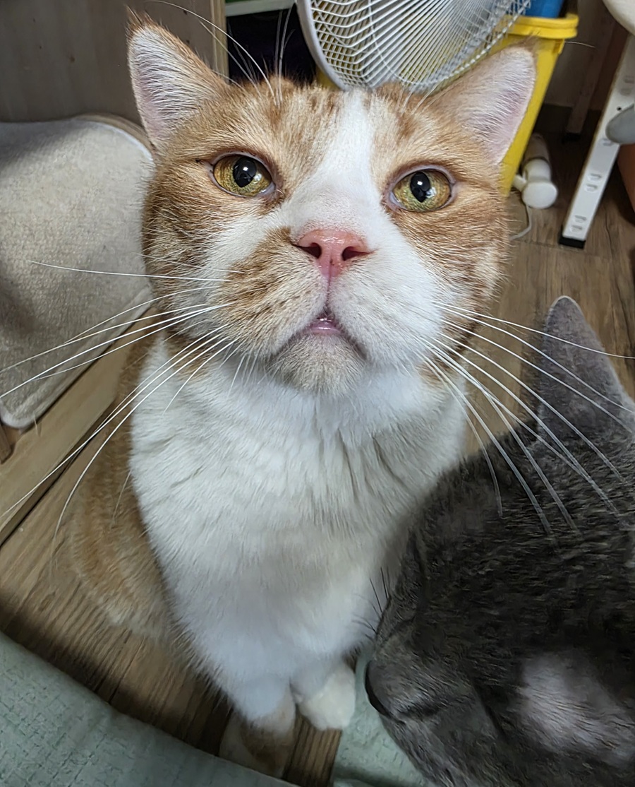 eafed6821897774f5ebb442e28c2c72e_1755307000_0248.jpg eafed6821897774f5ebb442e28c2c72e_1755307000_0248.jpg