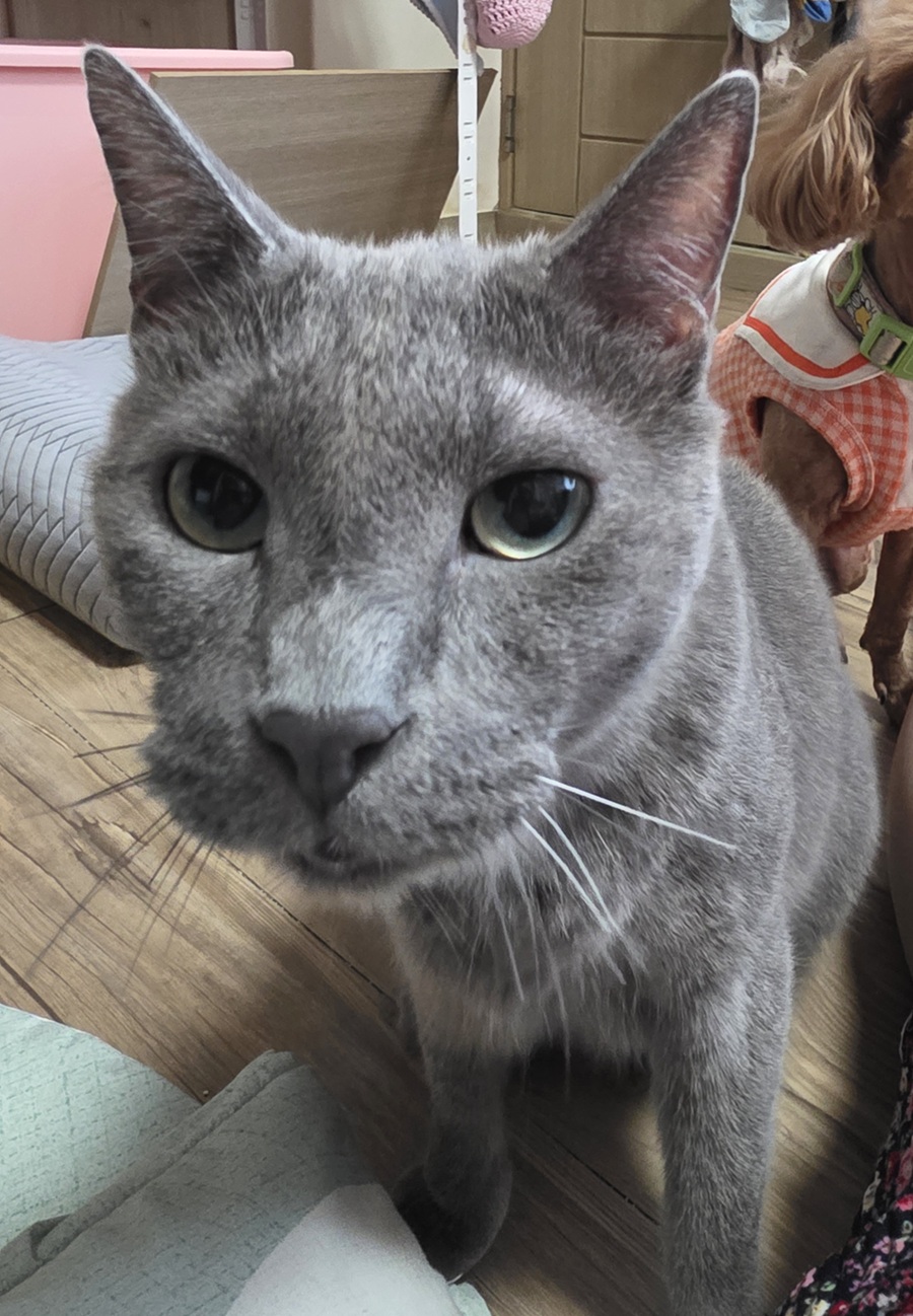 eafed6821897774f5ebb442e28c2c72e_1755309757_8313.jpg eafed6821897774f5ebb442e28c2c72e_1755309757_8313.jpg