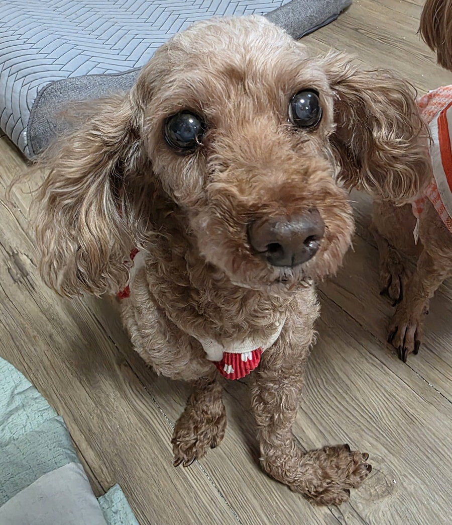 eafed6821897774f5ebb442e28c2c72e_1755313706_063.jpg eafed6821897774f5ebb442e28c2c72e_1755313706_063.jpg