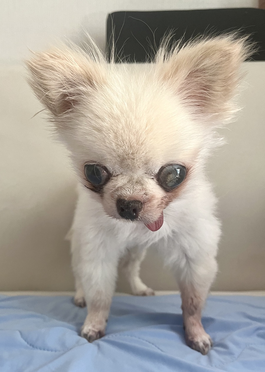 eafed6821897774f5ebb442e28c2c72e_1755410772_1846.jpg eafed6821897774f5ebb442e28c2c72e_1755410772_1846.jpg