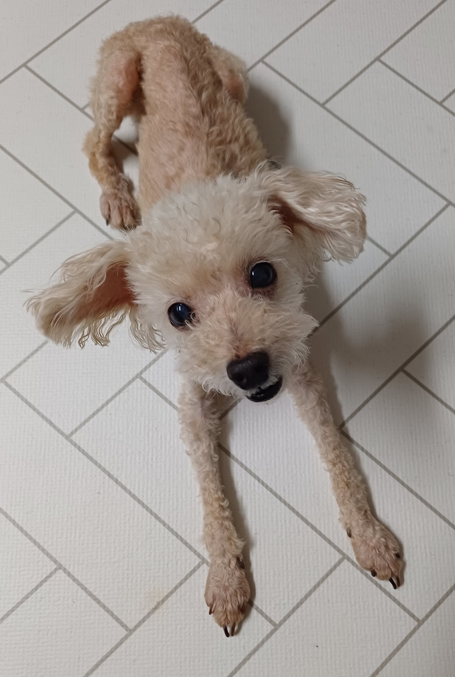 eafed6821897774f5ebb442e28c2c72e_1755692048_0757.jpg eafed6821897774f5ebb442e28c2c72e_1755692048_0757.jpg