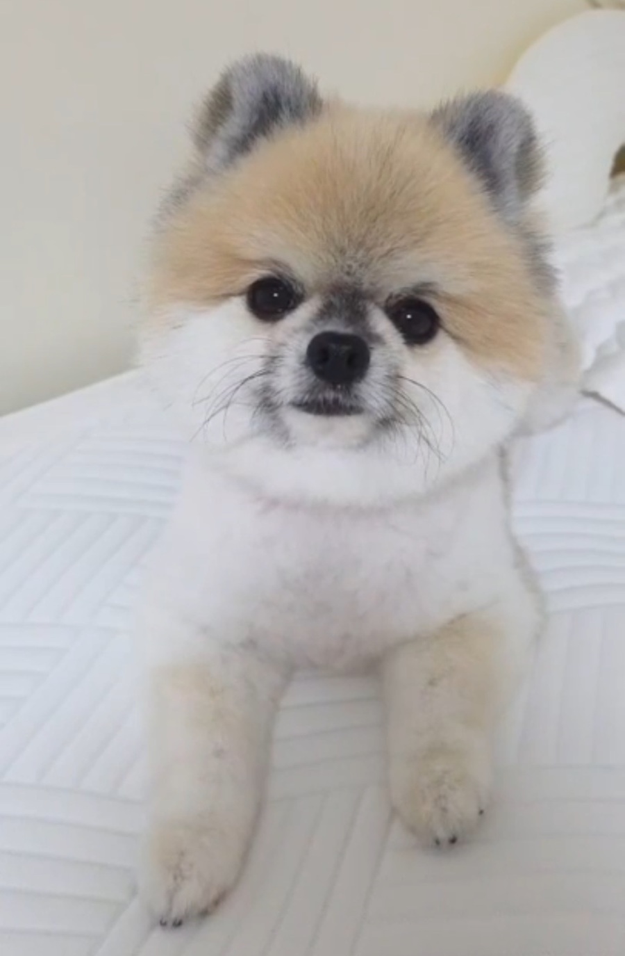 eafed6821897774f5ebb442e28c2c72e_1755852669_2343.jpg eafed6821897774f5ebb442e28c2c72e_1755852669_2343.jpg