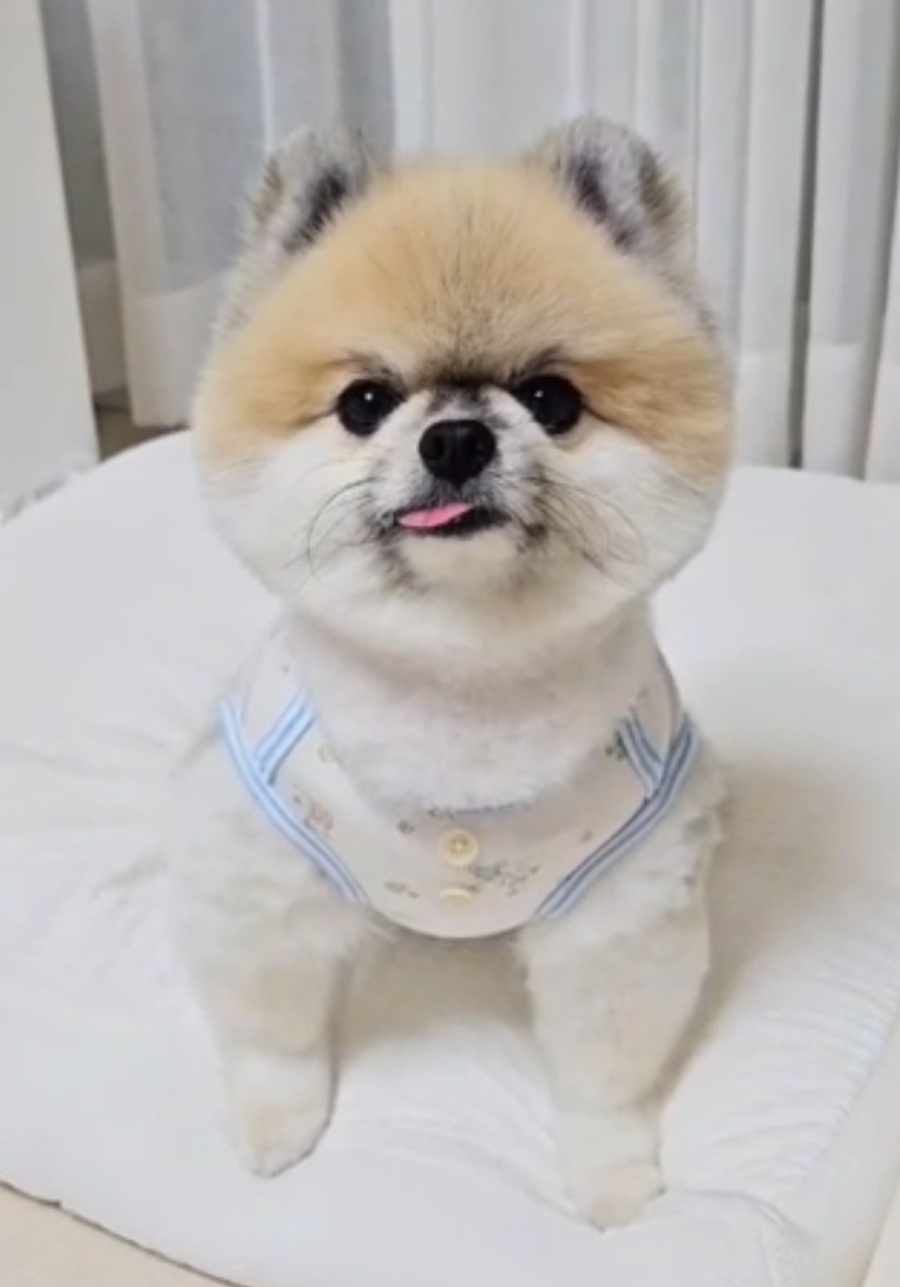 eafed6821897774f5ebb442e28c2c72e_1755853772_9431.jpg eafed6821897774f5ebb442e28c2c72e_1755853772_9431.jpg