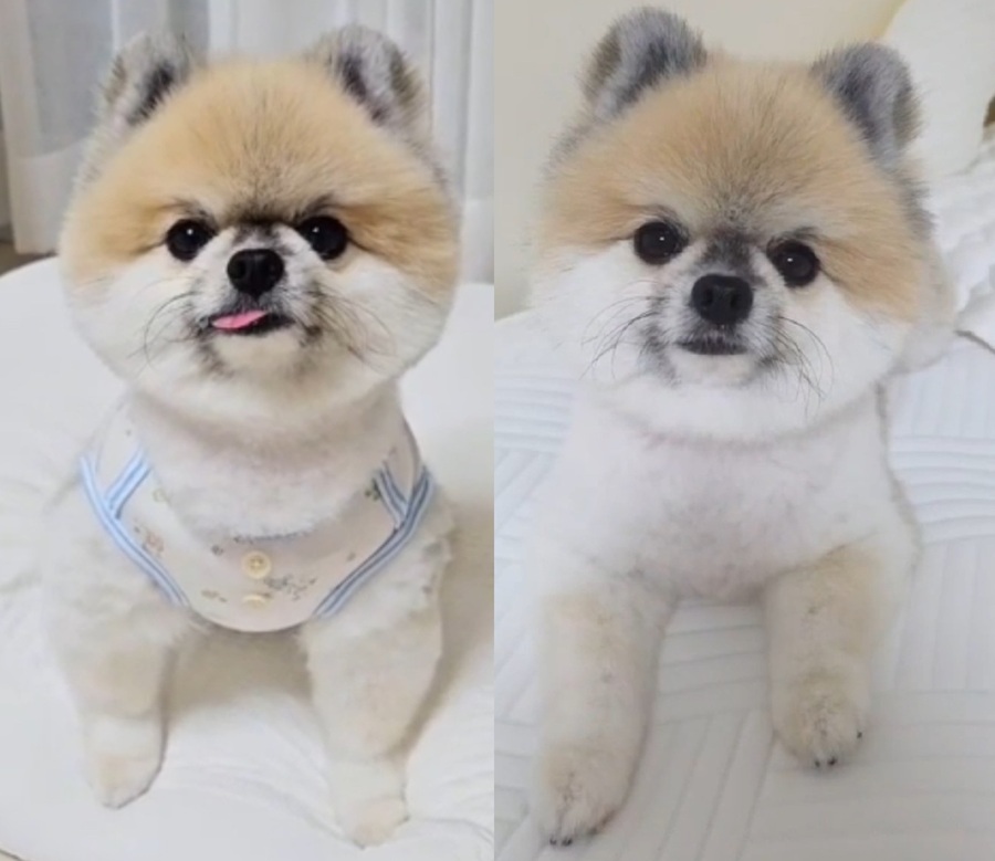 eafed6821897774f5ebb442e28c2c72e_1755854200_2692.jpg eafed6821897774f5ebb442e28c2c72e_1755854200_2692.jpg