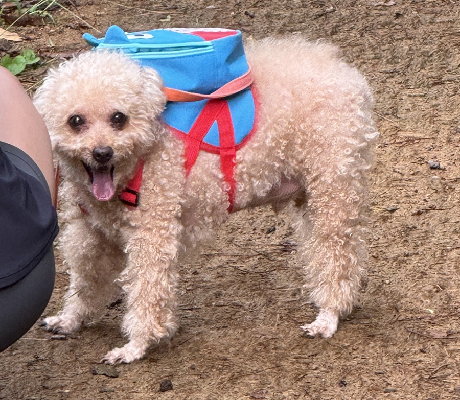 008646fe62f61983f30443ad03d4a113_1757312151_8443.jpg 008646fe62f61983f30443ad03d4a113_1757312151_8443.jpg