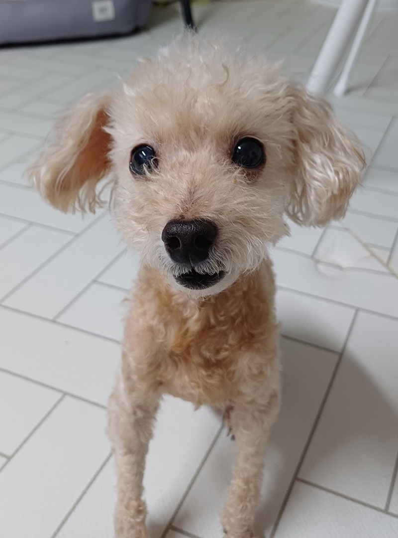 0a139907c0cab992b95db4caf806563c_1758018854_2622.jpg 0a139907c0cab992b95db4caf806563c_1758018854_2622.jpg