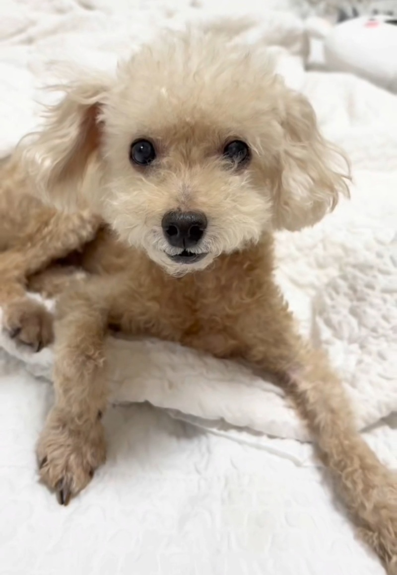 0a139907c0cab992b95db4caf806563c_1758019142_12.jpg 0a139907c0cab992b95db4caf806563c_1758019142_12.jpg