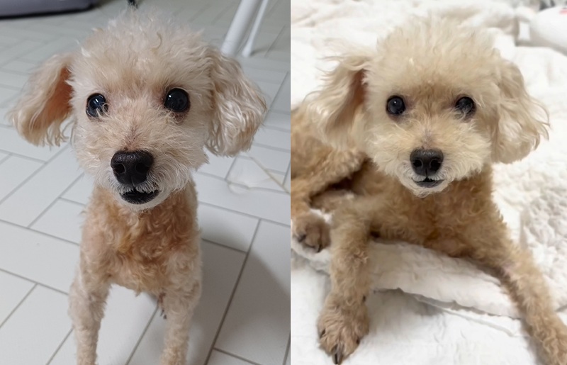 0a139907c0cab992b95db4caf806563c_1758020577_9396.jpg 0a139907c0cab992b95db4caf806563c_1758020577_9396.jpg