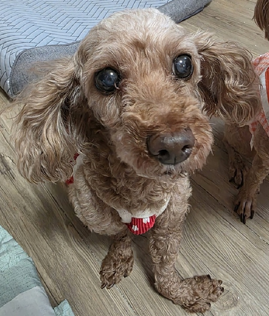 0a139907c0cab992b95db4caf806563c_1758077752_39.jpg 0a139907c0cab992b95db4caf806563c_1758077752_39.jpg