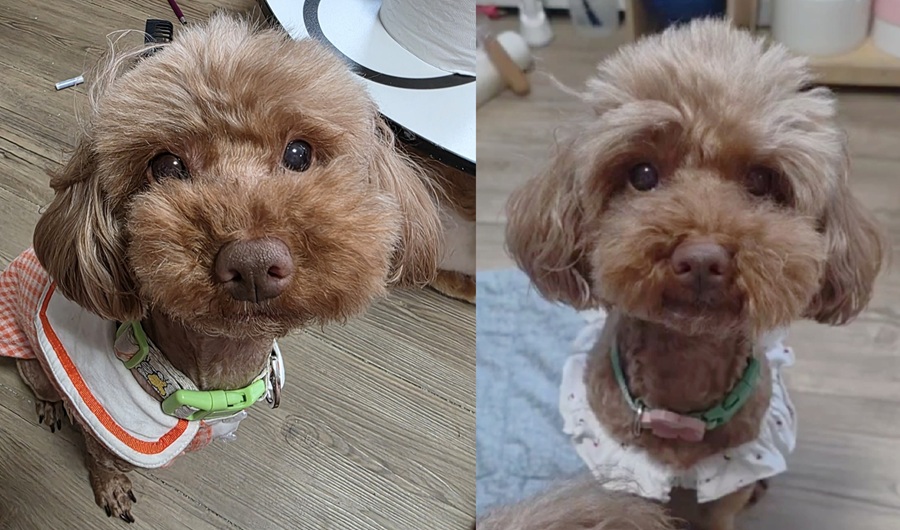 0a139907c0cab992b95db4caf806563c_1758103869_6522.jpg 0a139907c0cab992b95db4caf806563c_1758103869_6522.jpg