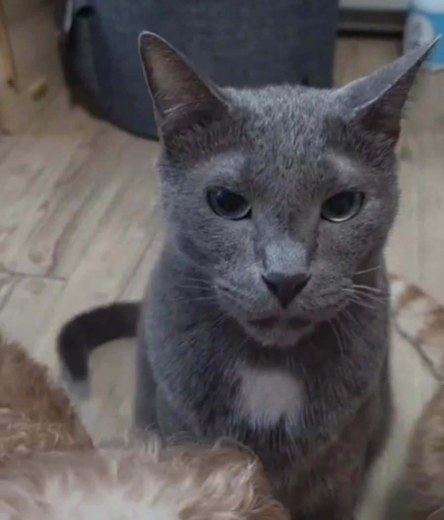 0a139907c0cab992b95db4caf806563c_1758107844_2732.jpg 0a139907c0cab992b95db4caf806563c_1758107844_2732.jpg