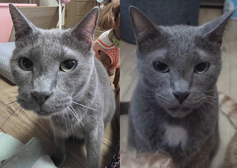 0a139907c0cab992b95db4caf806563c_1758108195_9582.jpg 0a139907c0cab992b95db4caf806563c_1758108195_9582.jpg