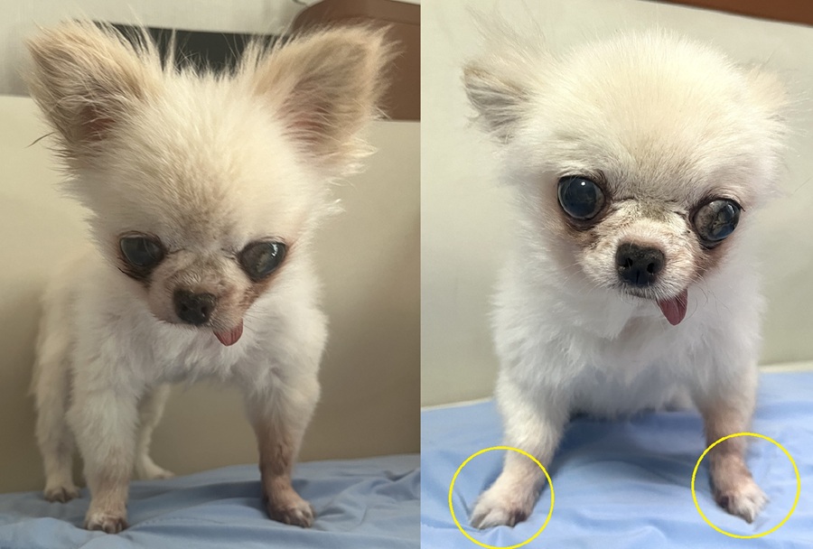 0a139907c0cab992b95db4caf806563c_1758172619_4263.jpg 0a139907c0cab992b95db4caf806563c_1758172619_4263.jpg