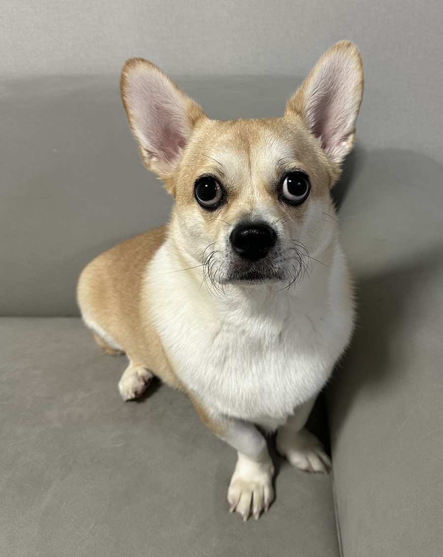 19c8e26bd016d20c76702e9727acd255_1758888705_6418.jpg 19c8e26bd016d20c76702e9727acd255_1758888705_6418.jpg