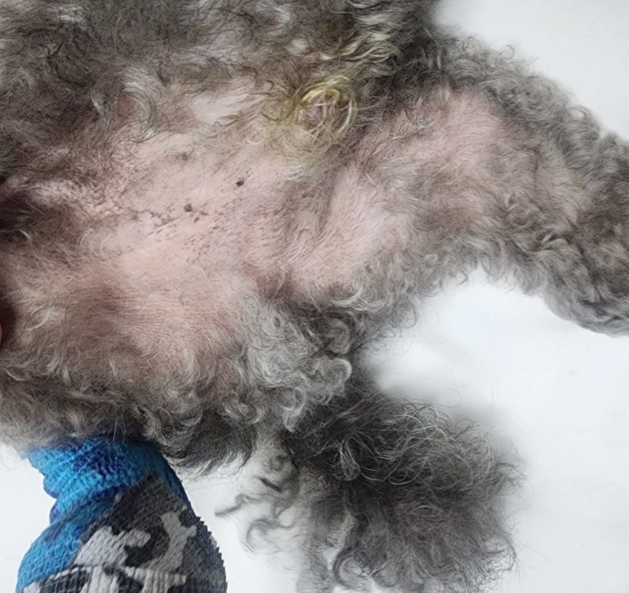 3656e0aad3f224fe078b0df266a1a0ec_1759228846_6561.jpg 3656e0aad3f224fe078b0df266a1a0ec_1759228846_6561.jpg