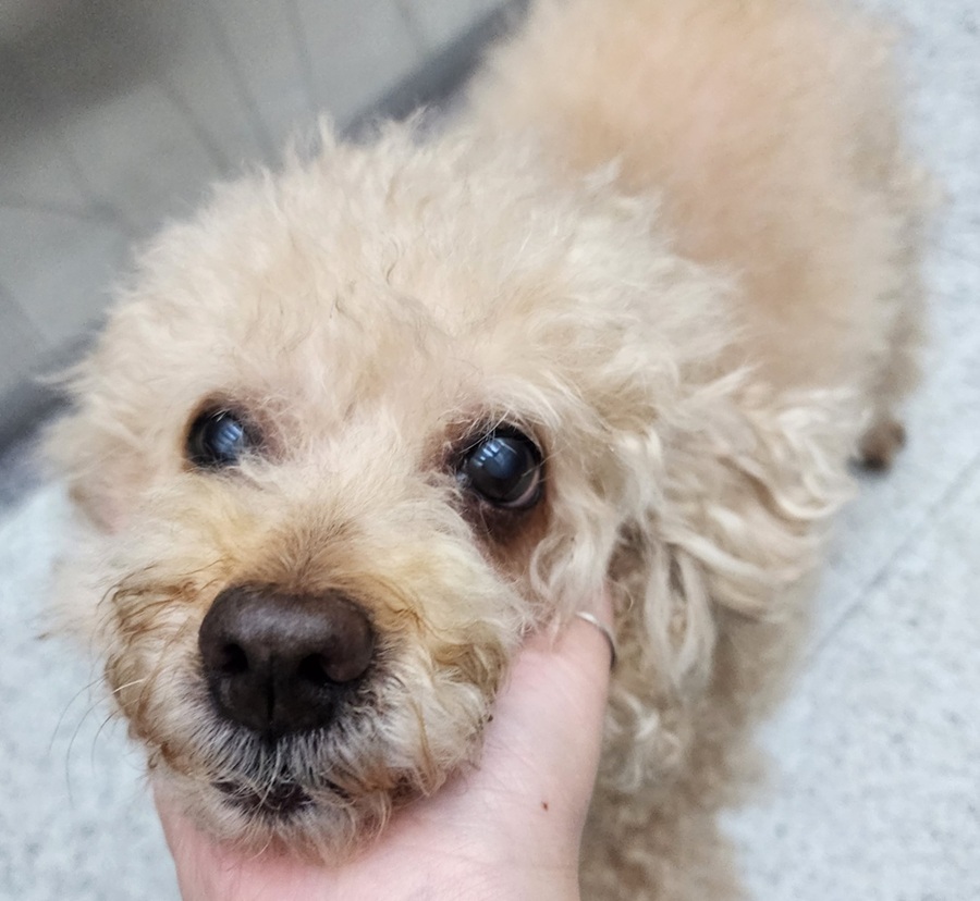 44320c56595f65071707f345043c8769_1758423358_2517.jpg 44320c56595f65071707f345043c8769_1758423358_2517.jpg