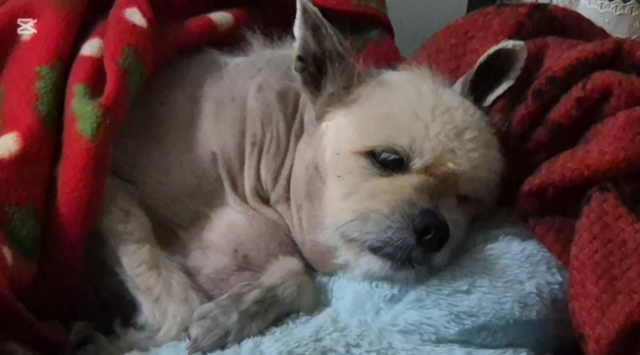 6230fd4e72be2ebbd1fcae6589161723_1757503284_525.jpg 6230fd4e72be2ebbd1fcae6589161723_1757503284_525.jpg