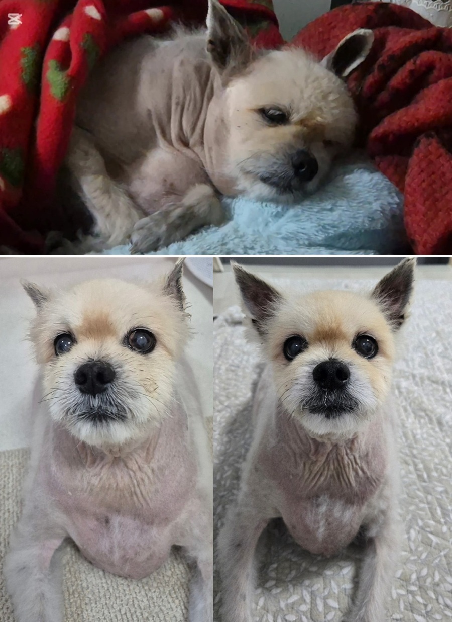 6230fd4e72be2ebbd1fcae6589161723_1757504388_5357.jpg 6230fd4e72be2ebbd1fcae6589161723_1757504388_5357.jpg