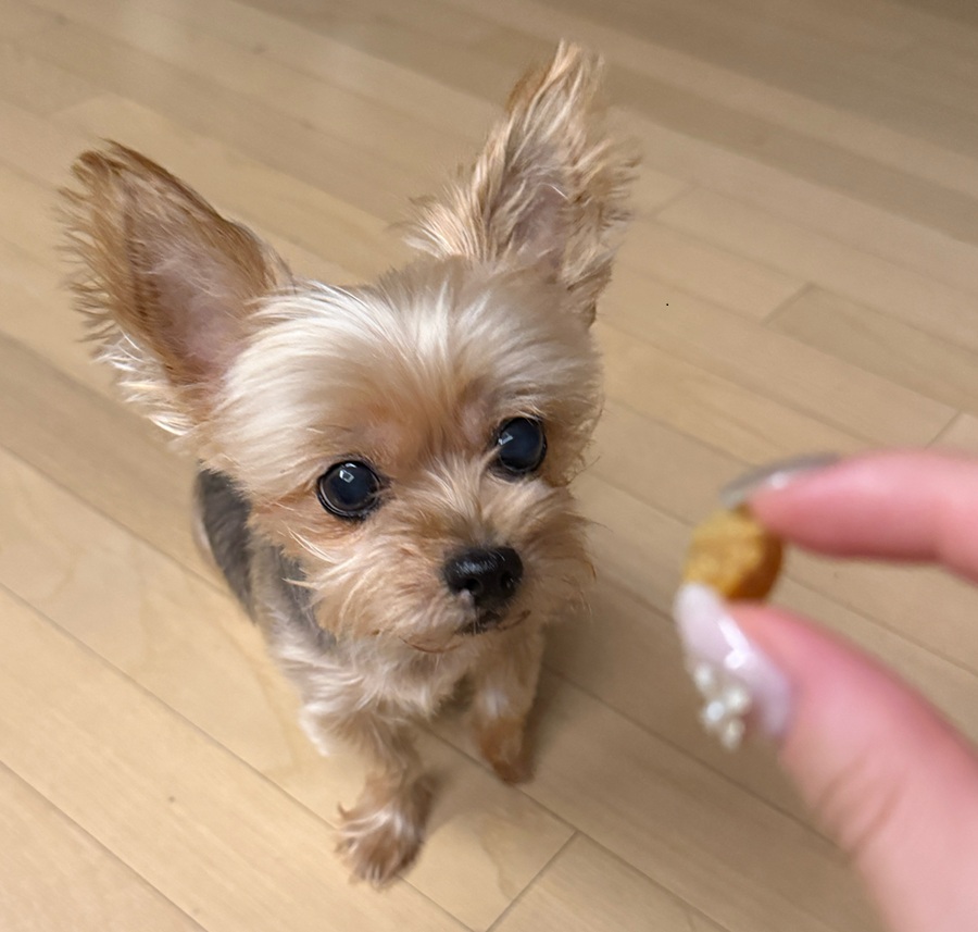 6590d860d843d9cf5760df09d24489f7_1758622923_6306.jpg 6590d860d843d9cf5760df09d24489f7_1758622923_6306.jpg