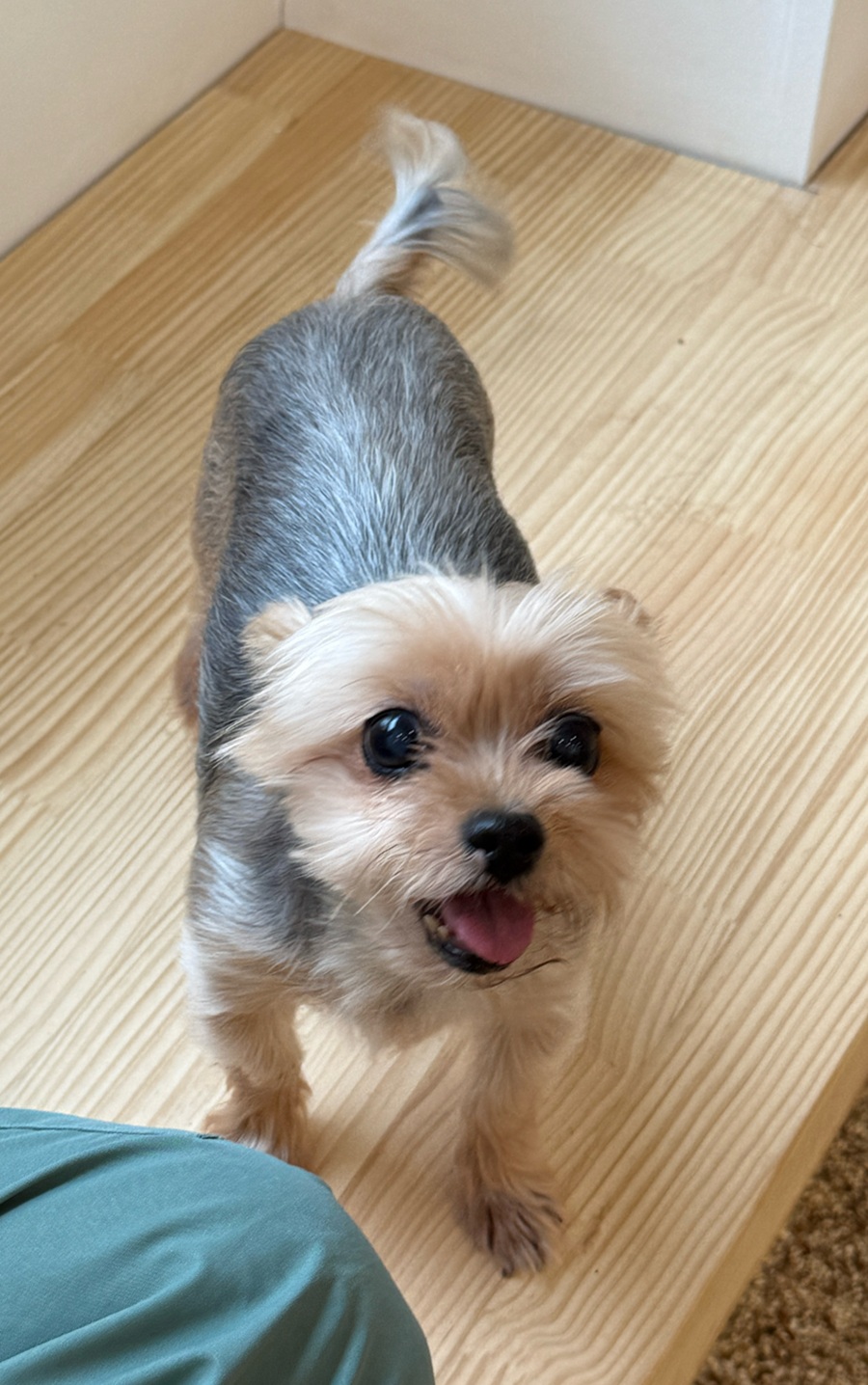 6590d860d843d9cf5760df09d24489f7_1758623622_7527.jpg 6590d860d843d9cf5760df09d24489f7_1758623622_7527.jpg