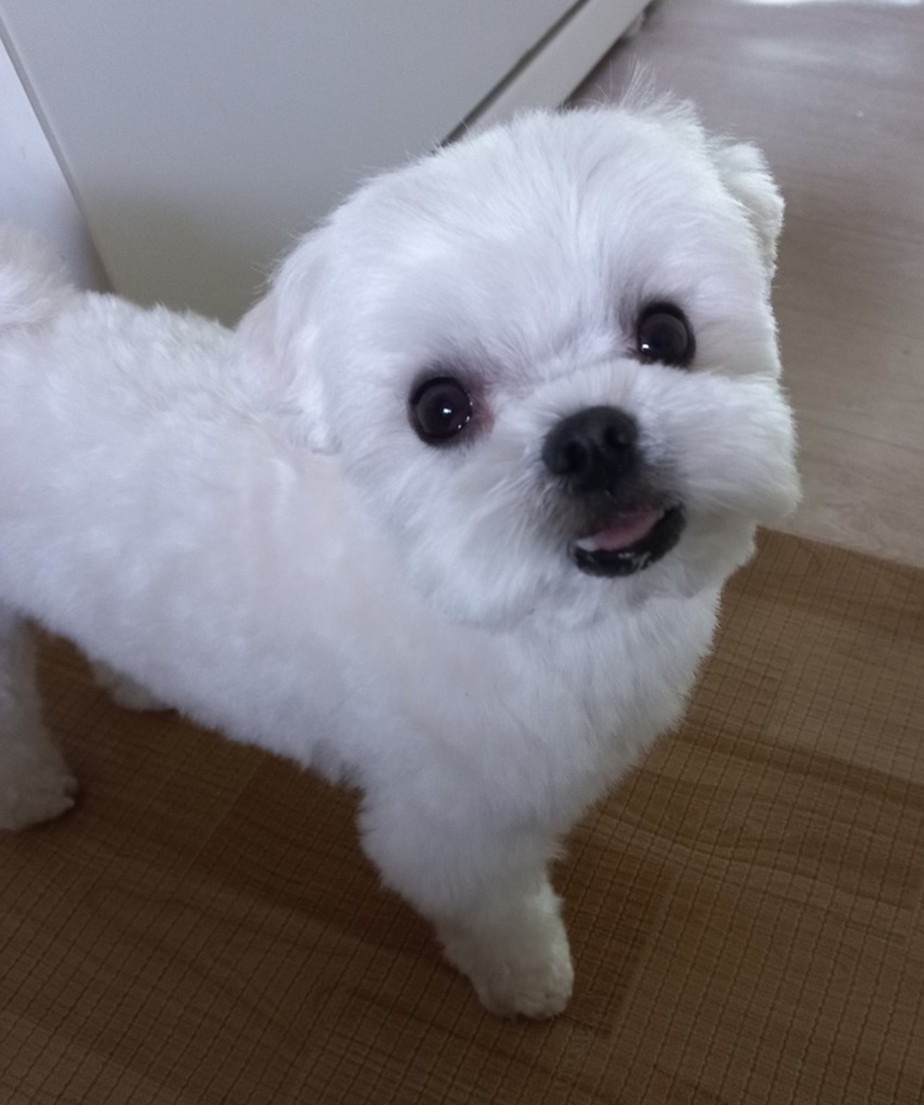 886807b0a8df95a76ed675936b1313f6_1757398379_4983.jpg 886807b0a8df95a76ed675936b1313f6_1757398379_4983.jpg