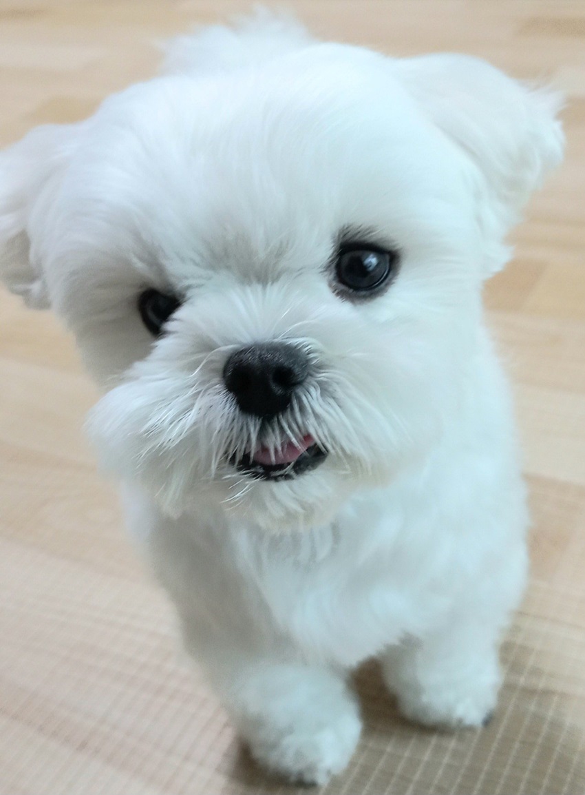 886807b0a8df95a76ed675936b1313f6_1757398402_686.jpg 886807b0a8df95a76ed675936b1313f6_1757398402_686.jpg