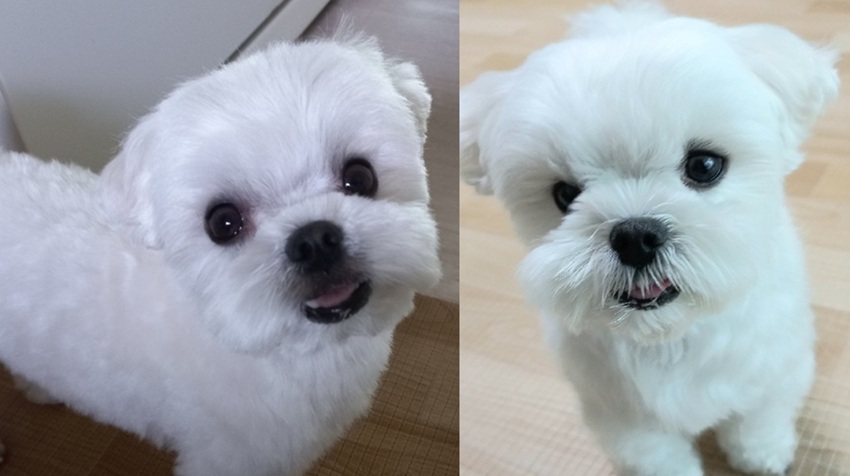 886807b0a8df95a76ed675936b1313f6_1757407941_5495.jpg 886807b0a8df95a76ed675936b1313f6_1757407941_5495.jpg