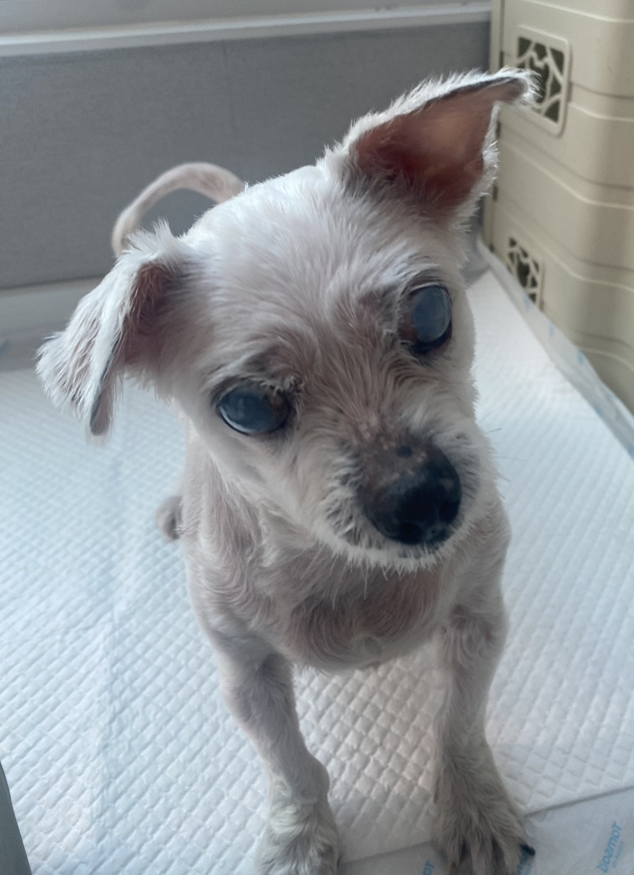 b02a2ca4e8914c9b3399b09362f606c2_1757475402_1595.jpg b02a2ca4e8914c9b3399b09362f606c2_1757475402_1595.jpg