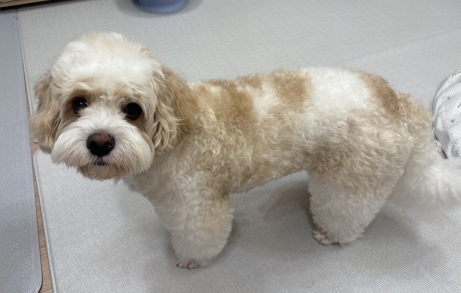 dcfd2c408edfd28789a08137c47a196f_1756779804_0852.jpg dcfd2c408edfd28789a08137c47a196f_1756779804_0852.jpg