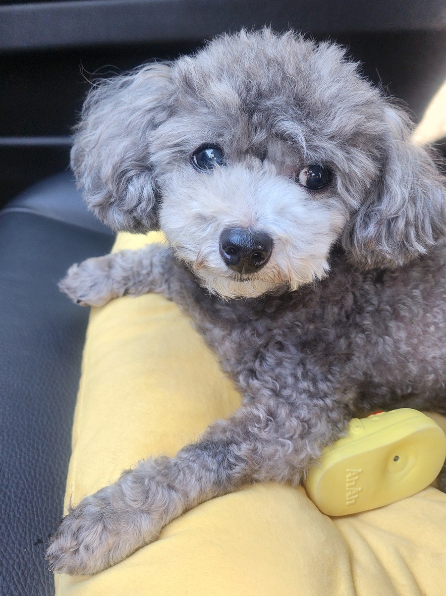 f4cdfb8344e8dad73d8a22306fc1f1c0_1757215519_451.jpg f4cdfb8344e8dad73d8a22306fc1f1c0_1757215519_451.jpg