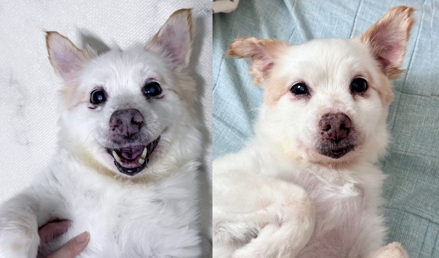 f4cdfb8344e8dad73d8a22306fc1f1c0_1757241706_0235.jpg f4cdfb8344e8dad73d8a22306fc1f1c0_1757241706_0235.jpg