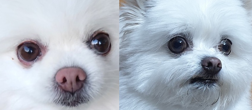 206ec00b2866c862ccdc72bf6ff9c1b7_1760797780_1452.jpg 206ec00b2866c862ccdc72bf6ff9c1b7_1760797780_1452.jpg