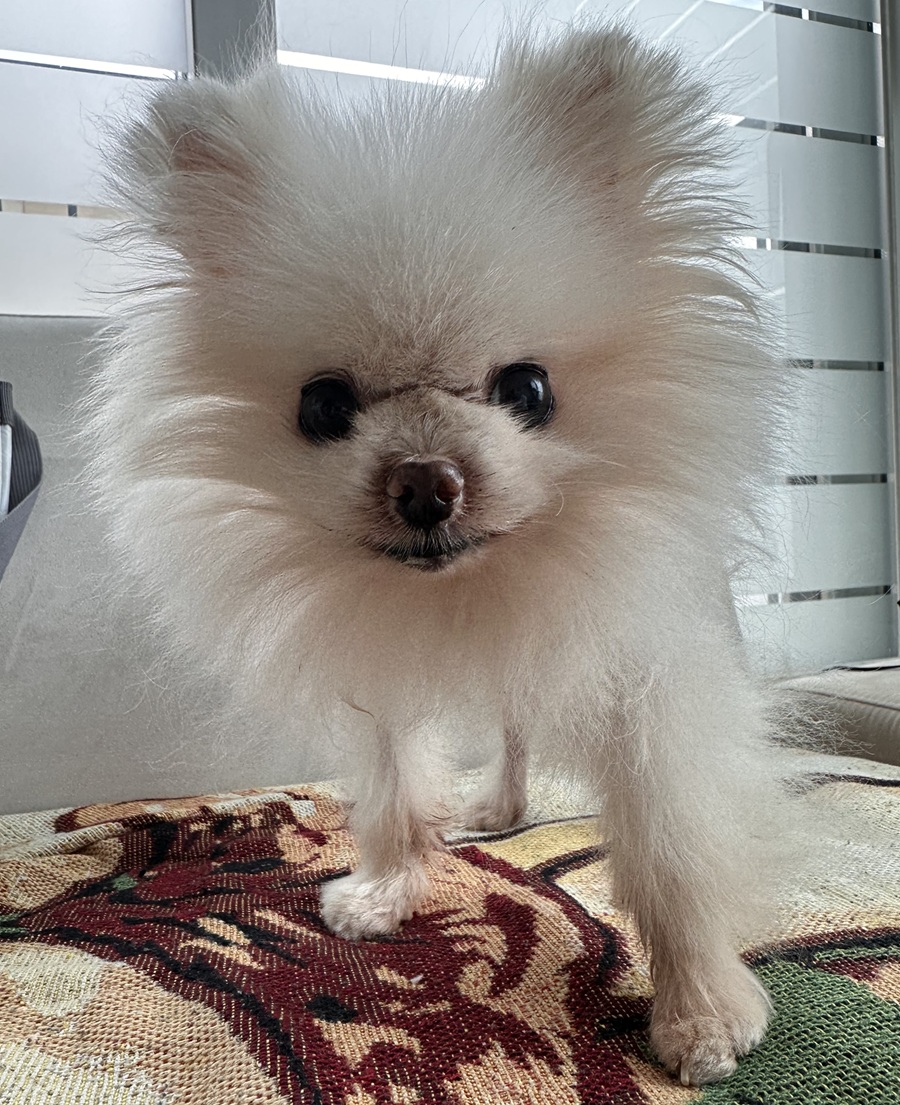 2c5b385ff183ad856c1cd9b365647454_1760277798_8803.jpg 2c5b385ff183ad856c1cd9b365647454_1760277798_8803.jpg