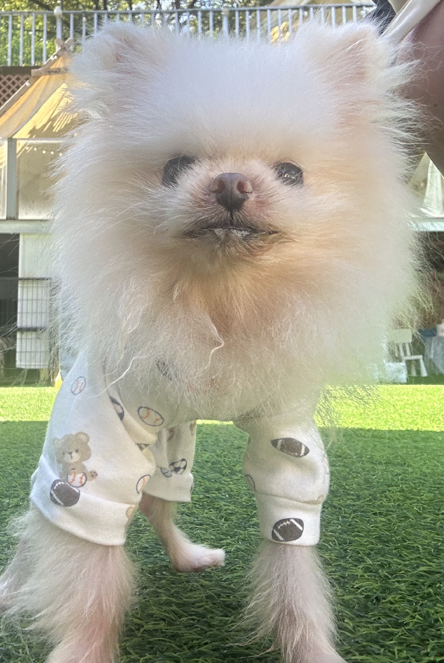 2c5b385ff183ad856c1cd9b365647454_1760349341_1958.jpg 2c5b385ff183ad856c1cd9b365647454_1760349341_1958.jpg