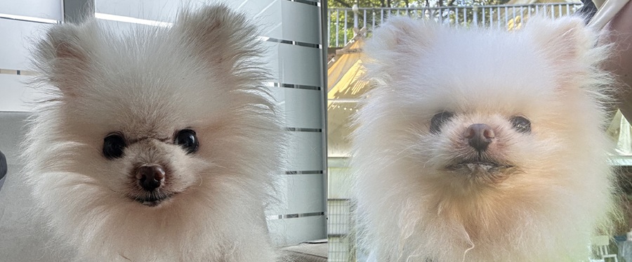 2c5b385ff183ad856c1cd9b365647454_1760349552_5773.jpg 2c5b385ff183ad856c1cd9b365647454_1760349552_5773.jpg