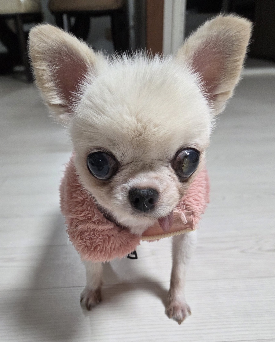 5676ca87691a0a9f72f6e8c618001a57_1761557382_4676.jpg 5676ca87691a0a9f72f6e8c618001a57_1761557382_4676.jpg